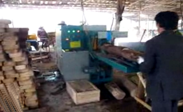 正啟機(jī)械斷料鋸圓木多片鋸方木多片鋸合輯