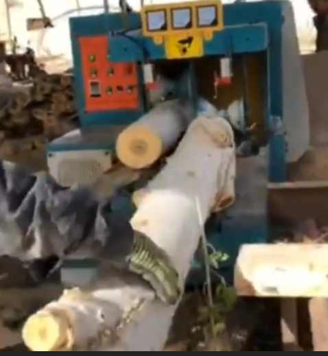 雙排鏈原木多片鋸工作視頻