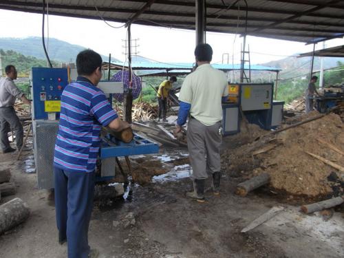 廣東省韶關(guān)市馬壩-圓木多片鋸250-加工現(xiàn)場