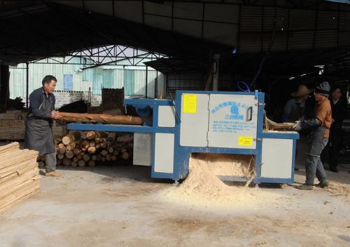 廣東-中山市-圓木多片鋸加工現(xiàn)場(chǎng)0