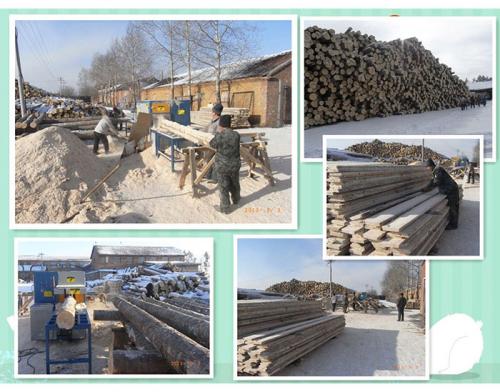 黑龍江伊春新青區-鋸洛葉松-350原木多片鋸-加工現場