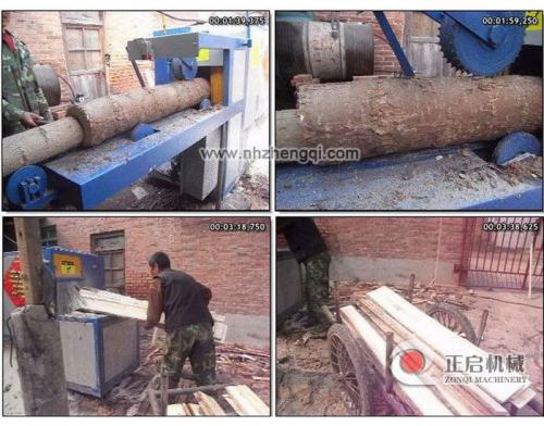 山西省晉中市榆次-鋸25圓揚(yáng)木現(xiàn)場