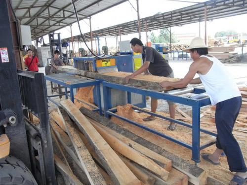 天津市-150方木多片鋸加工現場