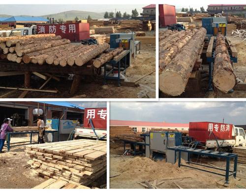 原木多片鋸250型--滿洲里加工現(xiàn)場