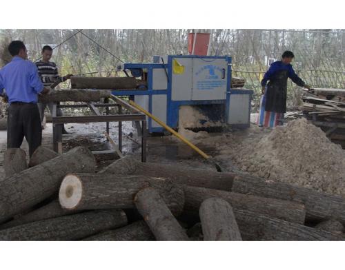 圓木多片鋸-安徽合肥舒城加工現(xiàn)場